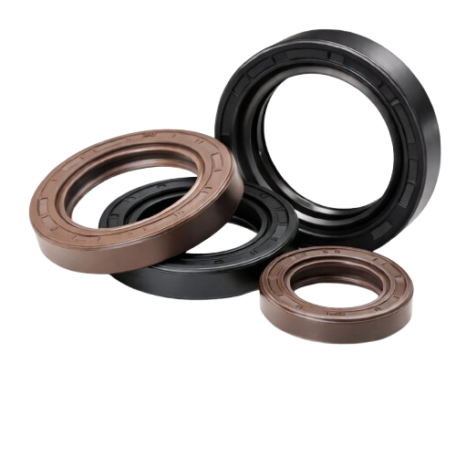 WhatsApp_Image_2026-02-02_at_20.35.10-removebg-preview